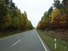 Fahrt durch den farbenfrohen Herbstwald